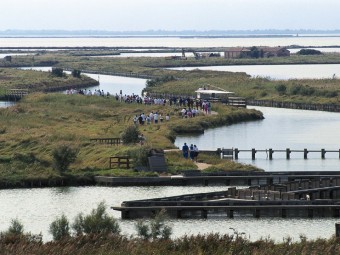 Escursioni a piedi nelle Valli di Comacchio