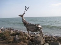 Sculture in spiaggia a Lido di Volano