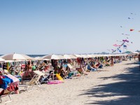 Spiaggia a Lido di Pomposa