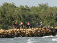 Escursioni a cavallo a Comacchio