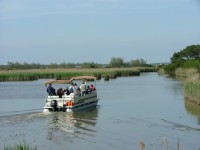 Escursioni in barca nelle Valli di Comacchio