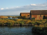 Casoni di Valle a Comacchio