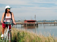 Escursioni in bicicletta a Comacchio