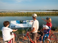 Escursioni in bicicletta a Comacchio